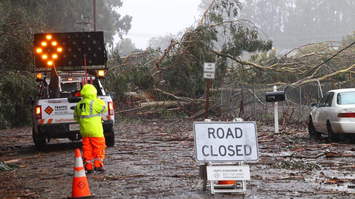 Fourth street was blocked in Oceano on Feb. 24, 2023, after a massive eucalyptus tree fell across the road and ripped down utility lines.