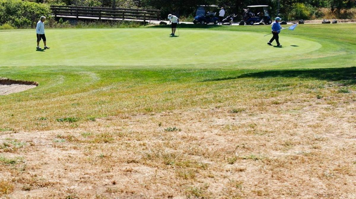 The 11th green at Dairy Creek Golf Course at El Chorro Regional Park surrounded by browning grass. The San Luis Obispo County Board of Supervisors voted Tuesday to reject a proposal for the course to purchase potential drinking water to irrigate the 18-hole facility.