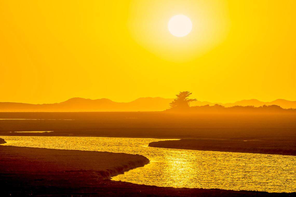 The Morro Bay Estuary at sunset.