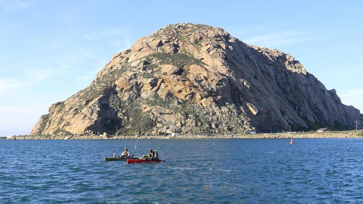 Hike the Crespi Trail at Morro Bay State Park on Monday, April 3, 2017.