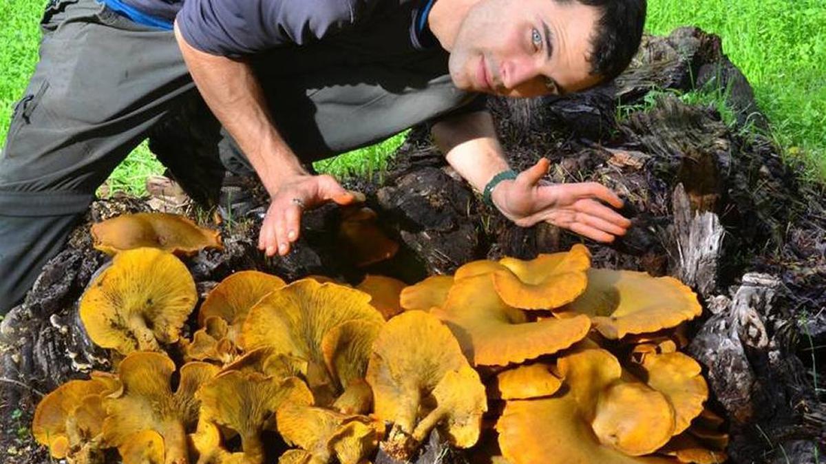 Mushroom expert Christian Schwarz will give a series of classes about the local fungi at the San Luis Obispo Botanical Garden in January.