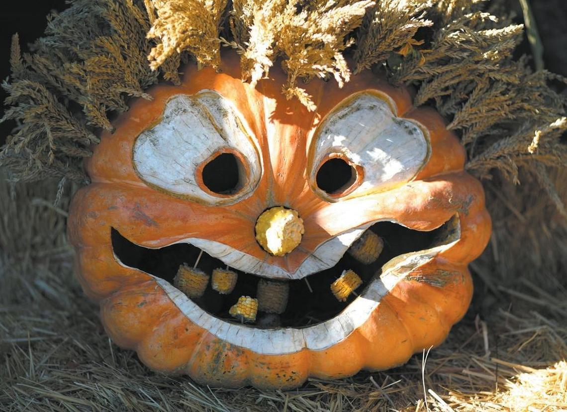 A grinning jack-o-lantern greets visitors to a Los Osos pumpkin patch.
