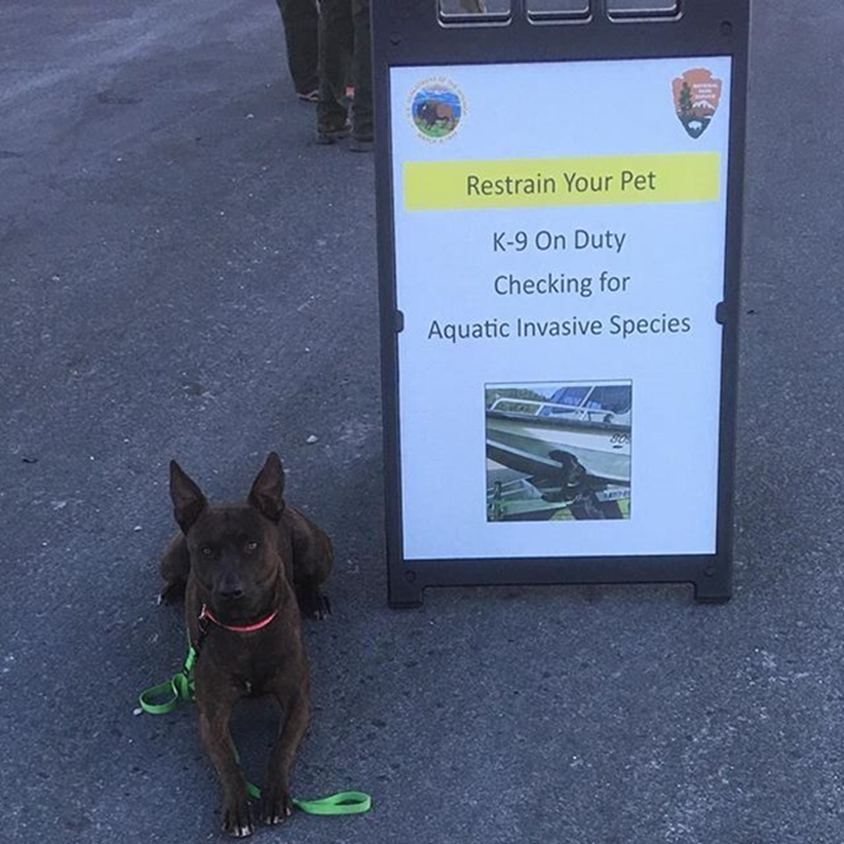 Boaters entering Lake Lopez on July 3 and July 4, 2023, will be greeted by mussel-sniffing dogs, who check boats for invasive shellfish.
