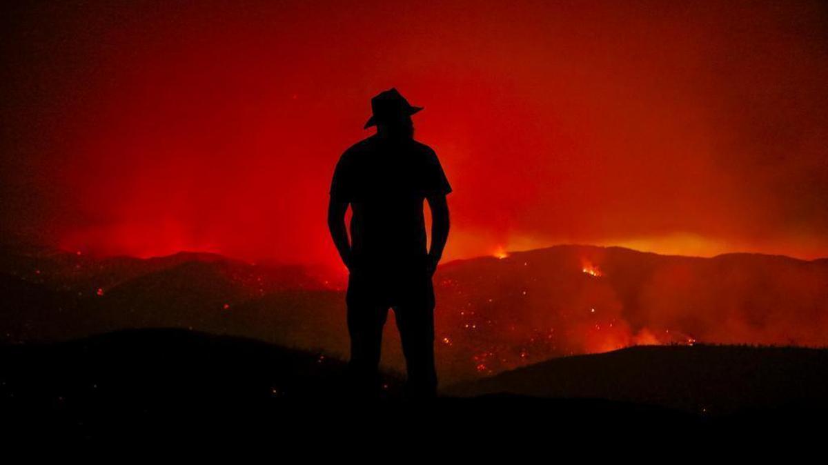 Tribune photographer Joe Johnston won an award for best news photo for this image of Forrest Scott, who looks out at the burning Hill Fire from his home near Santa Margarita in June 2017 at the beginning of what would become a devastating fire season across California.