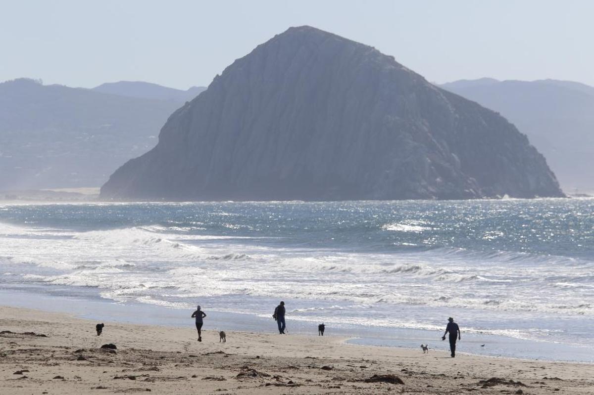 Dog walkers hit the beach north of Morro Rock.