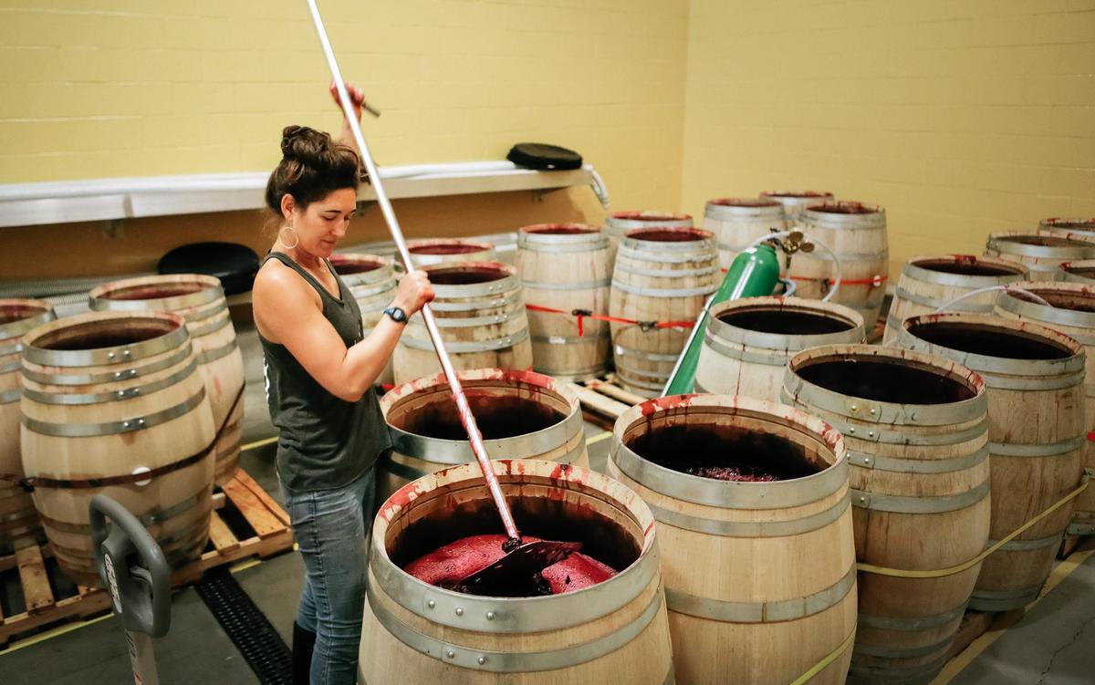 Associate winemaker Molly Lonborg punches down barrels of reserve syrah at the Halter Ranch winery in Paso Robles.