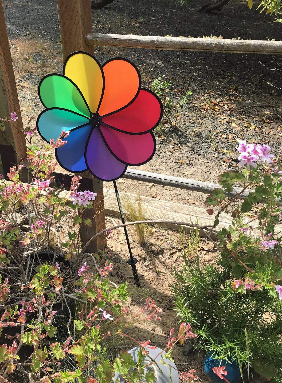 One of several garden spinners twirls colors and joy in the garden of columnist Kathe Tanner’s garden in Cambria.