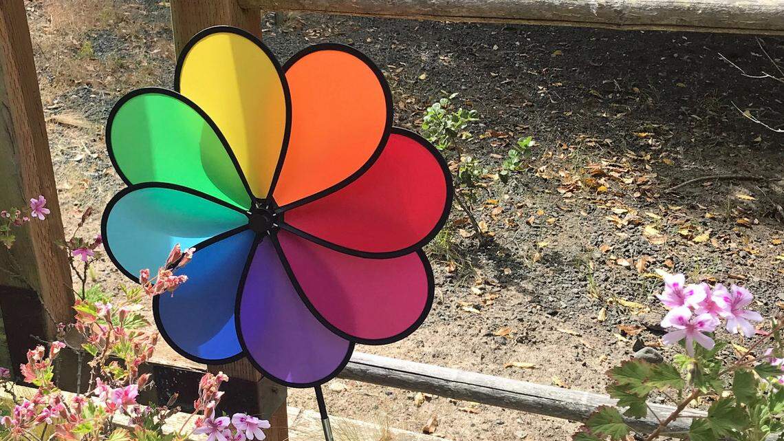 How to be a kid again? Tribune columnist advises to disco and spin your way back