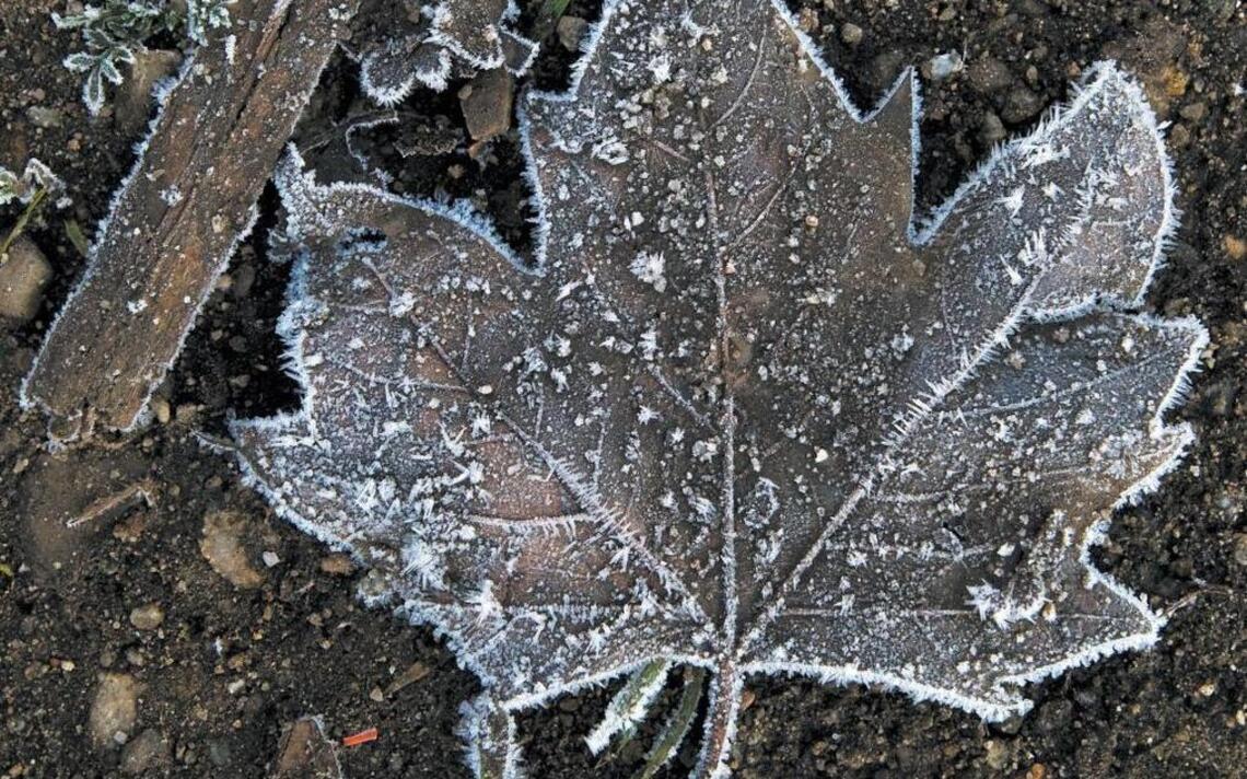Parts of SLO County under freeze warning. Here’s how cold it could get