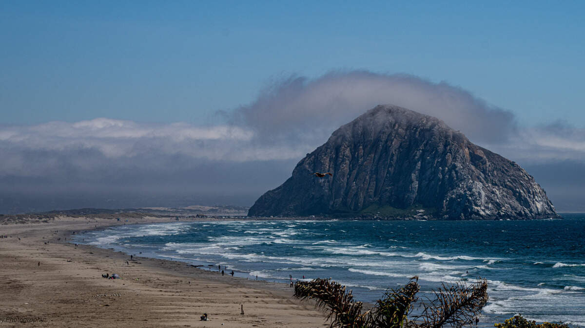 Beach visitors stroll on the sand near Morro Rock. 