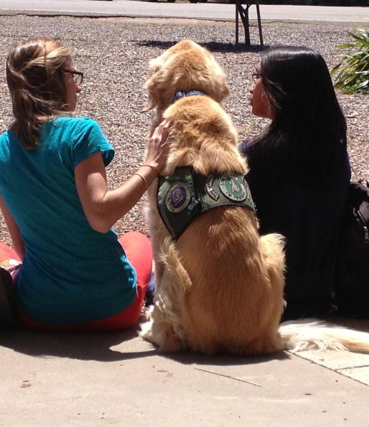 Toby sits with some Morro Bay High School students at lunchtime.