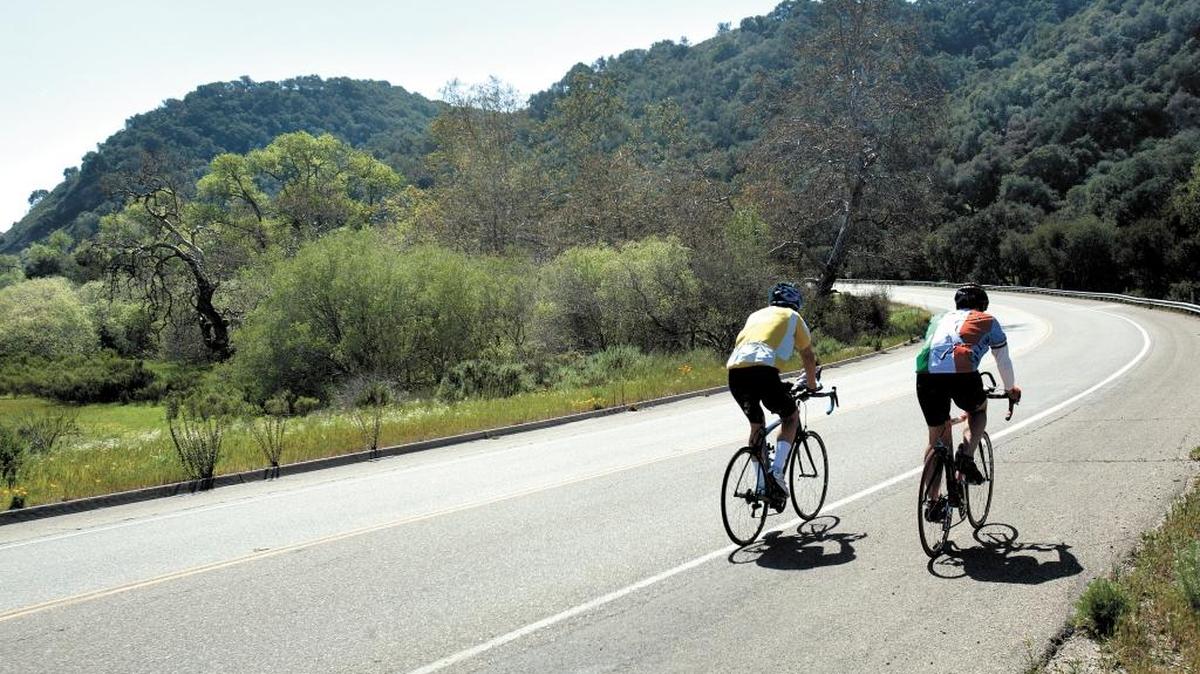 Cyclists along Price Canyon Road. County crews will trim and remove trees and brush within the road right-of-way between Ormonde Road and Highway 227 beginning Tuesday.