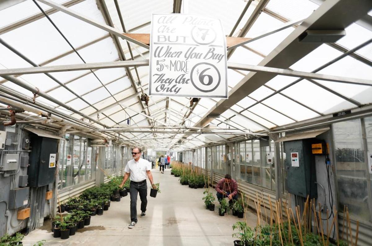 Cal Poly’s Tomato Spectacular, formerly known as Tomato Mania, is being held Saturday and Sunday at the Horticulture Unit near the Cal Poly Plant Shop. More than 70 varieties of tomato plants are available.