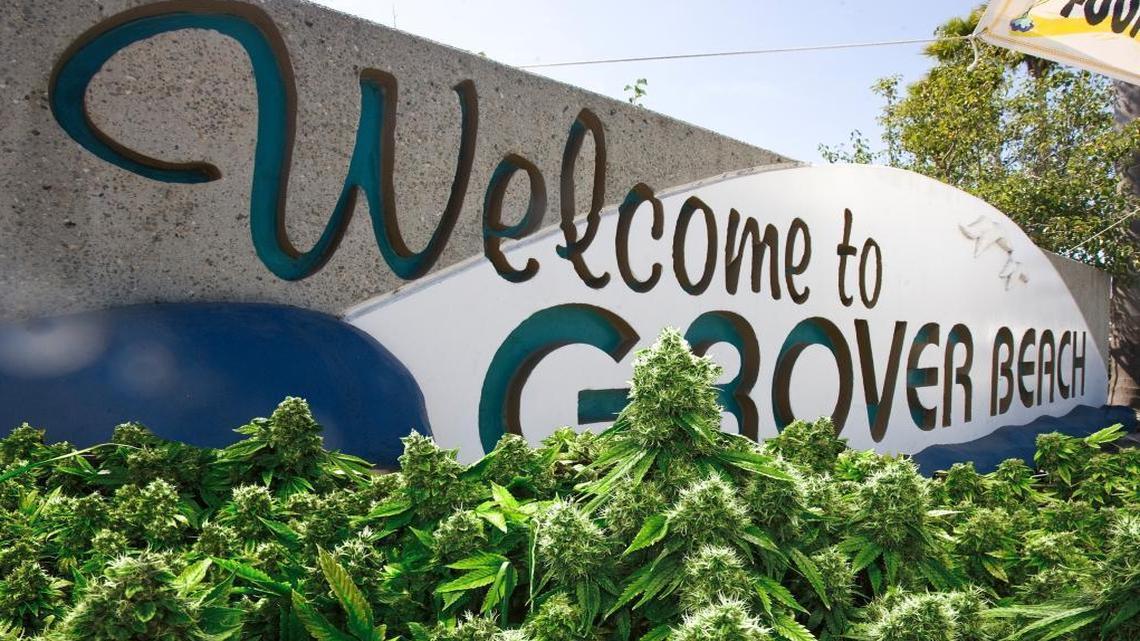 Grover should ignore ‘whore’ comment and become Pot Capital of Central Coast