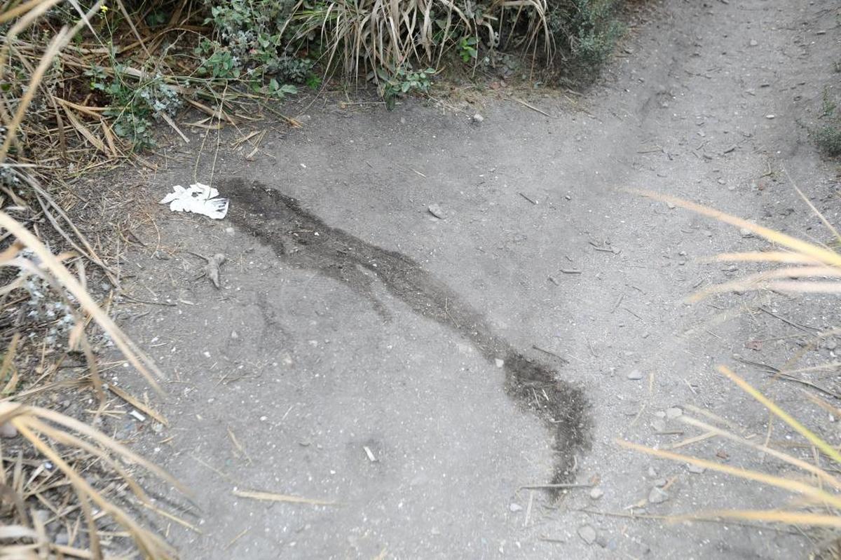 Signs of the lack of restrooms are often seen along the main trail down to the beach at Pirate’s Cove.
