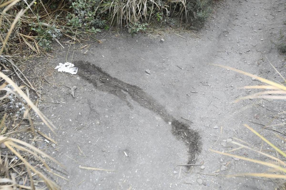 Signs of the lack of restrooms are seen everywhere along the main trail at Pirate’s Cove.