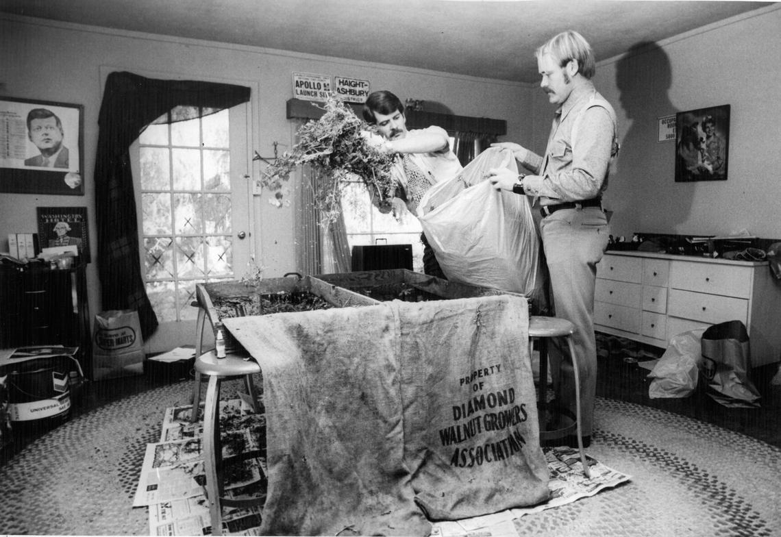 Sheriff’s deputies pack up more than $1,000 worth of marijuana found at the home of former child-actor Tommy Rettig near Arroyo Grande. Rettig starred in the first Lassie television series.