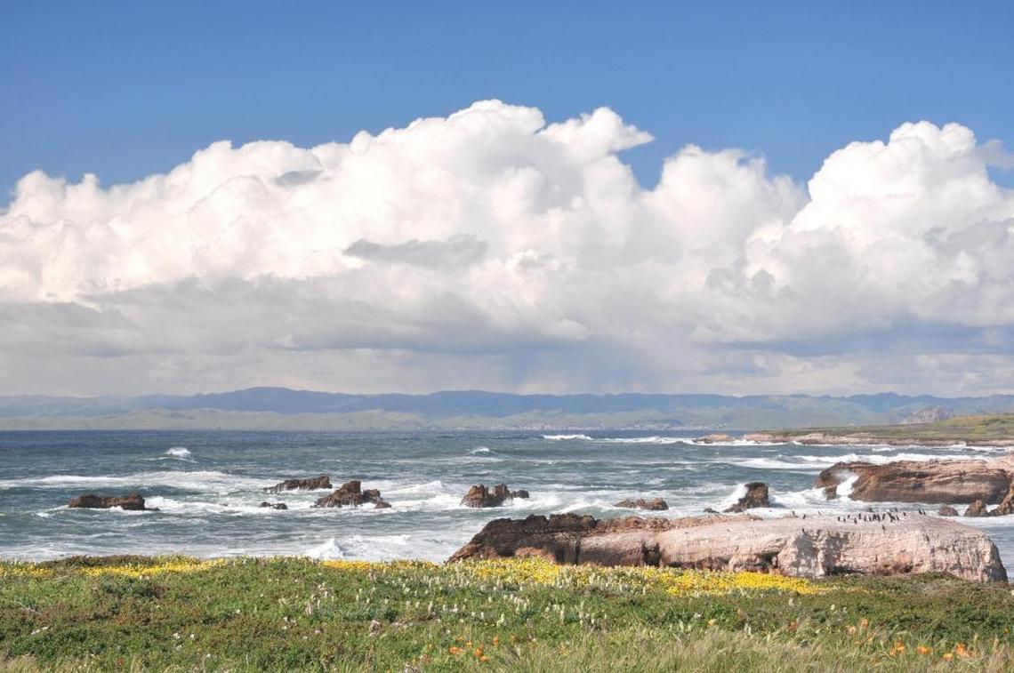 Cumulus clouds fill the sky overlooking Montaña de Oro State Park and Estero Bay.