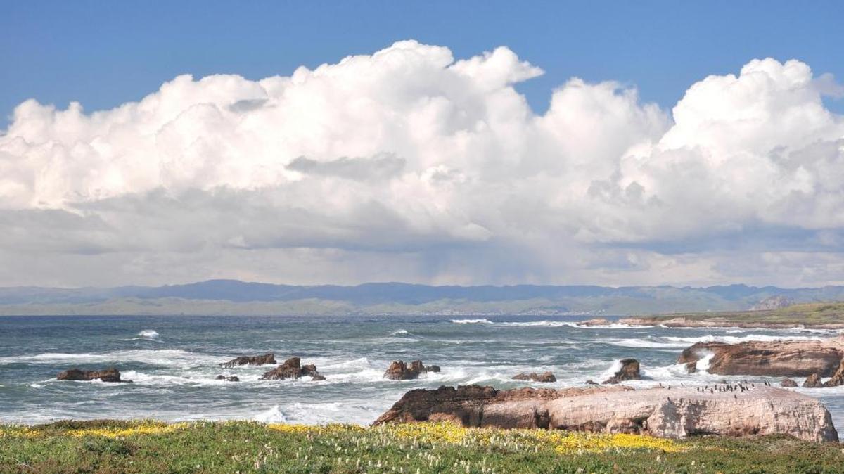 Cumulus clouds fill the sky overlooking Montaña de Oro State Park and Estero Bay.