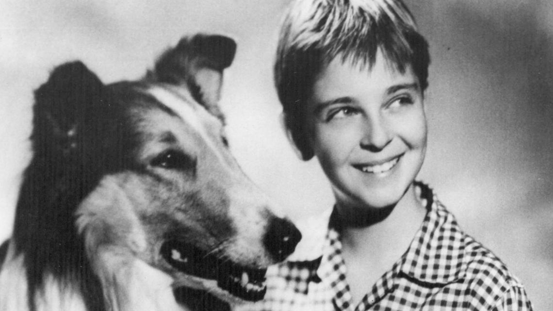 Lassie didn’t smoke pot, but her TV co-star was arrested for growing it in SLO County