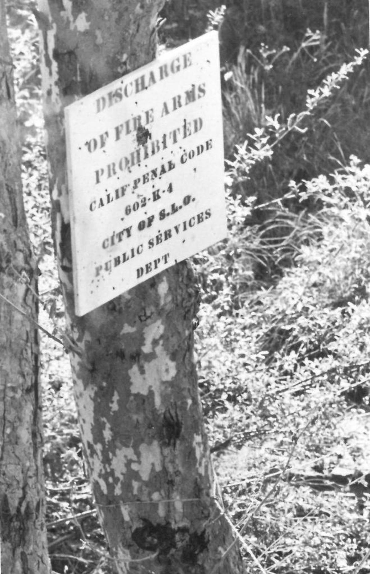 In 1980, signs were posted prohibiting shooting in Reservoir Canyon.