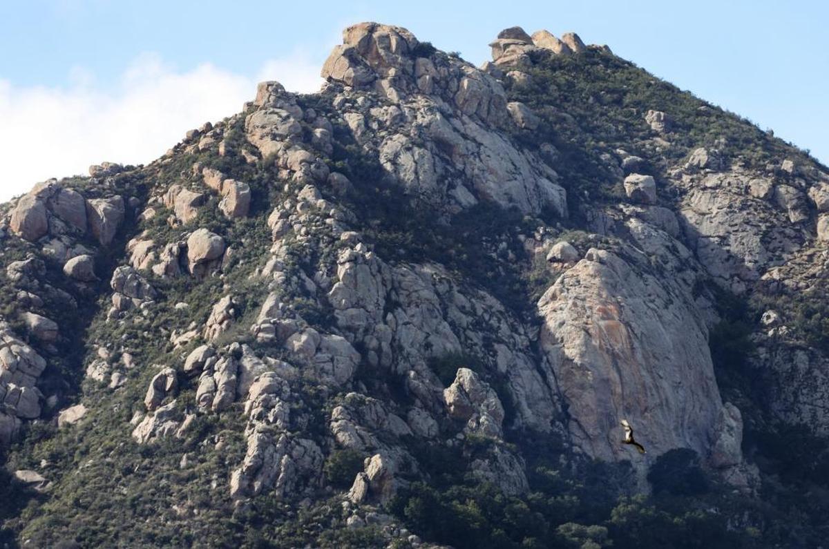 The lesser-known Cal Poly P, seen here in faded form on the open face of Bishop Peak at right, was first painted in 1926.