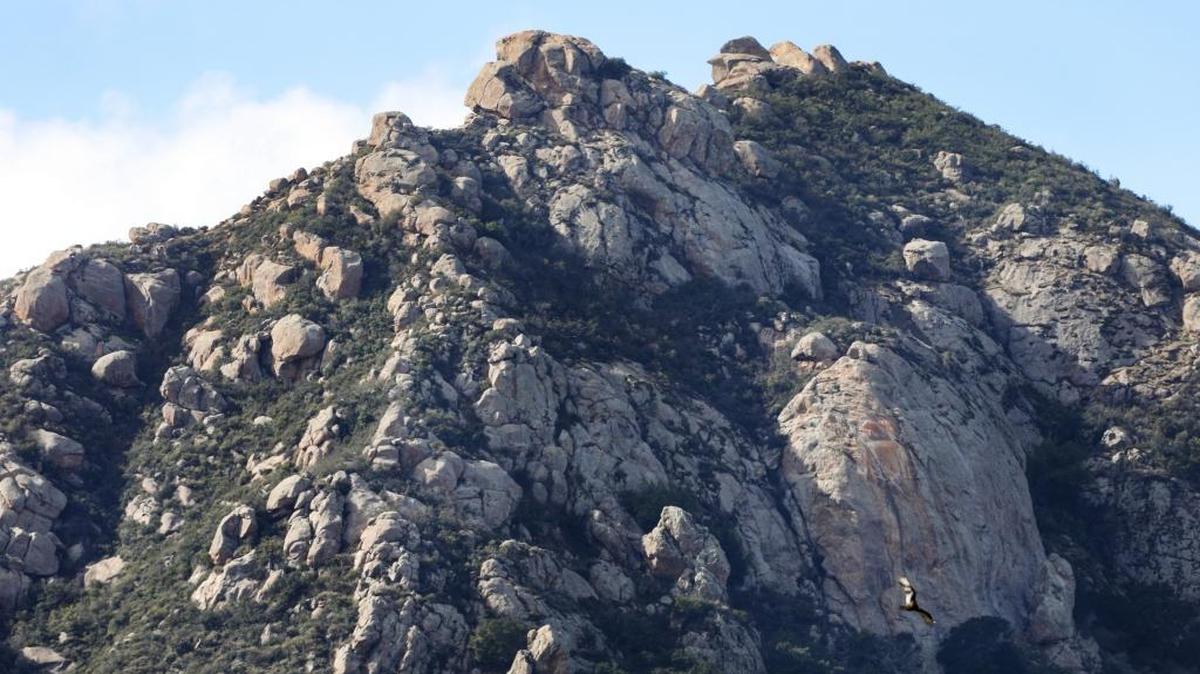 The lesser-known Cal Poly P, seen here in faded form on the open face of Bishop Peak at right, was first painted in 1926.