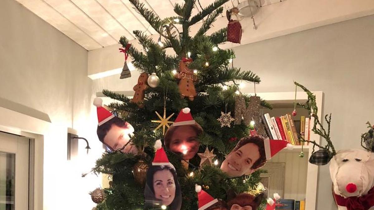 SLO Wellness Center’s Christmas tree from last winter..