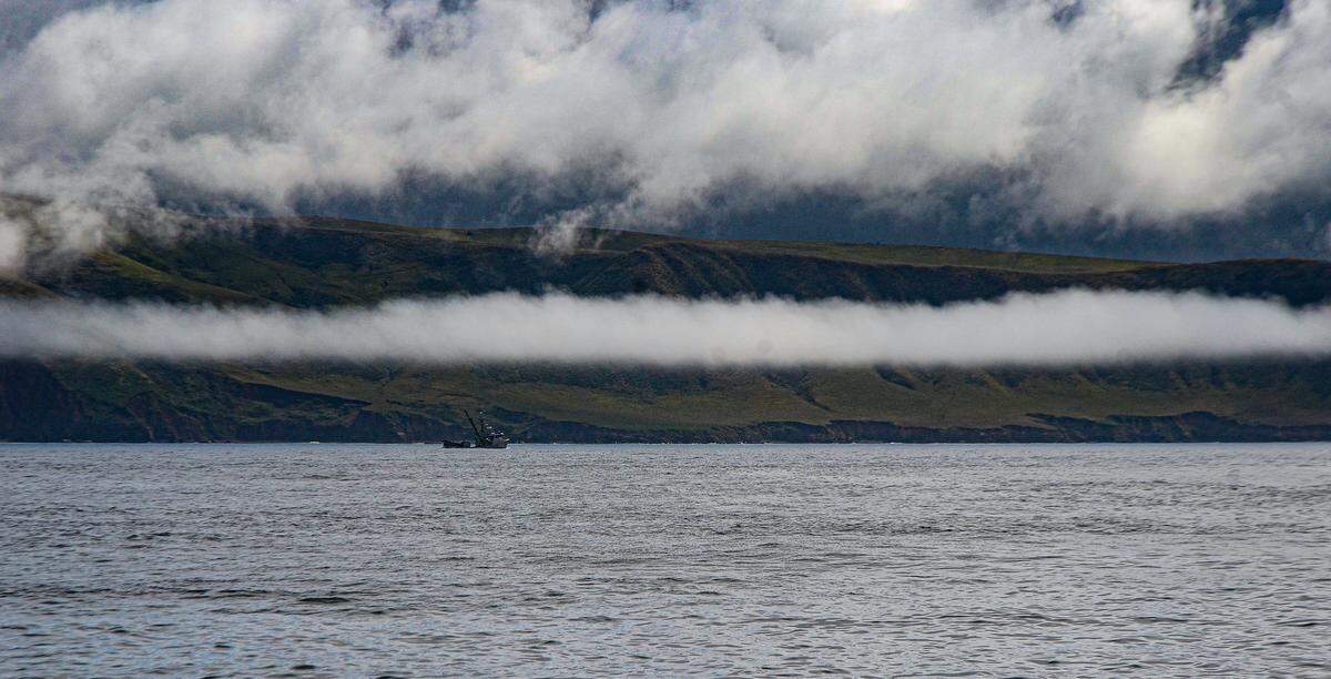 Marine low clouds gather near Point Estero.