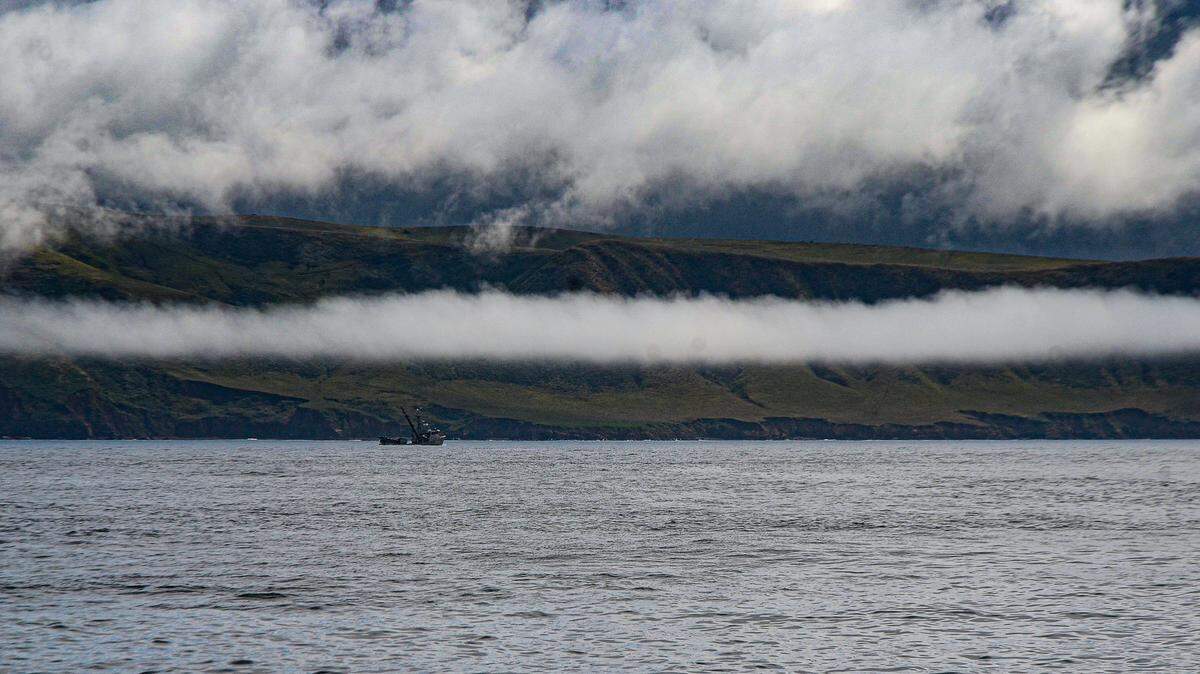 Marine low clouds gather near Point Estero.