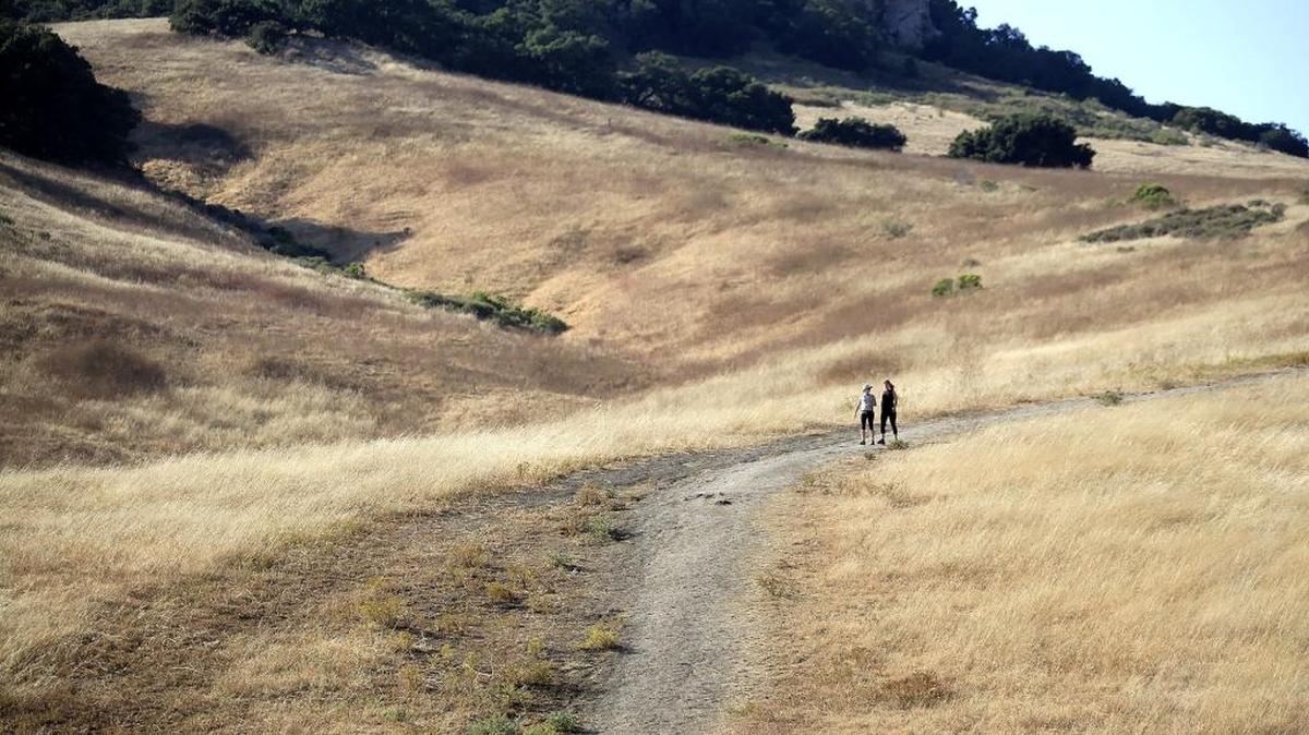 Two hikers make their way down the Bishop Peak trail in the late-afternoon sunlight.