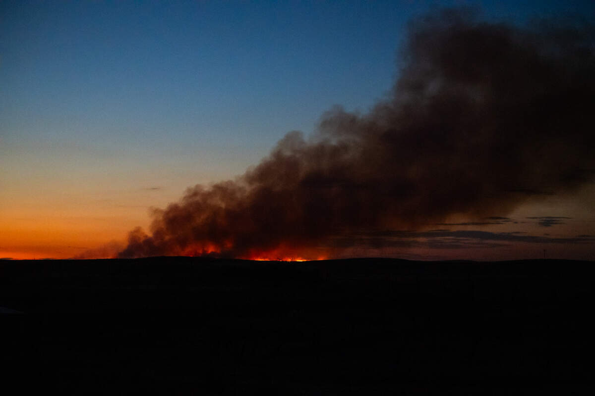 The Bitter Fire burned nearly 700 acres on the Carrizo Plain. It’s seen on Tuesday, Aug. 15, 2023.