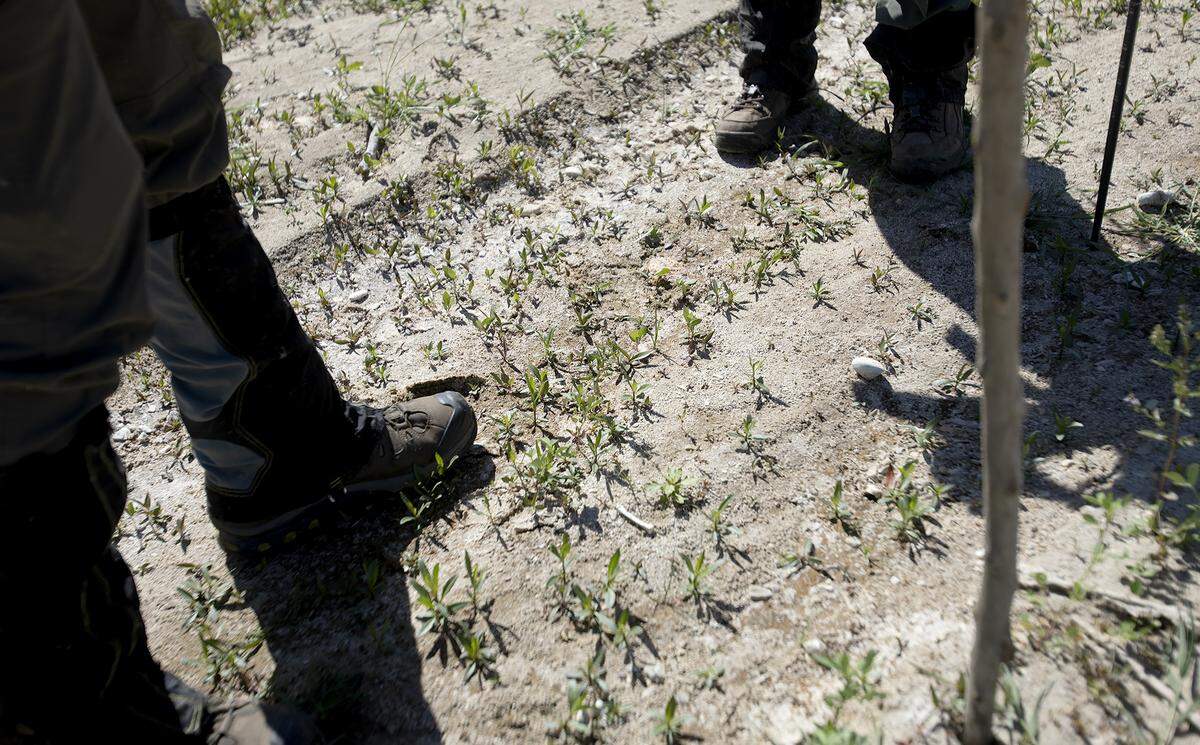 Over 300 search and rescue personnel searched for missing 5-year-old Kyle Doan in the now dry Salinas River in San Miguel on July 8, 2023. The Marin County Search and Rescue team checked out a bone they found in the sand and bagged it. 