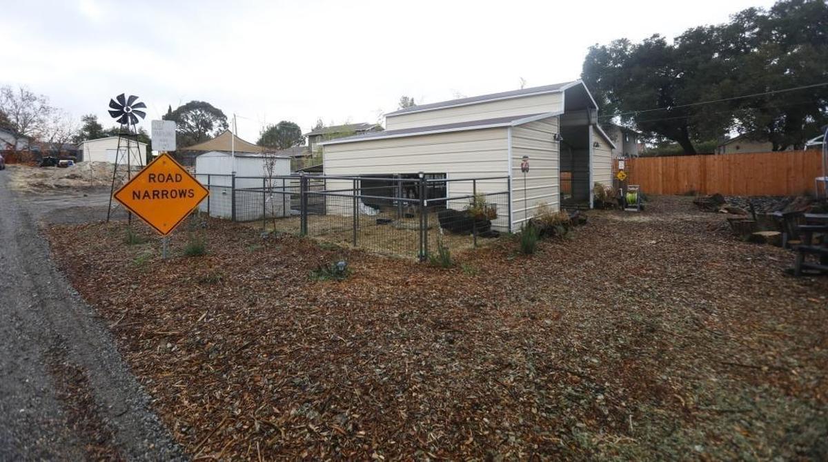 Marilu Elder has a mini-pig rescue on a large lot in Atascadero. She wants the city to recognize these pigs as pets instead of livestock.