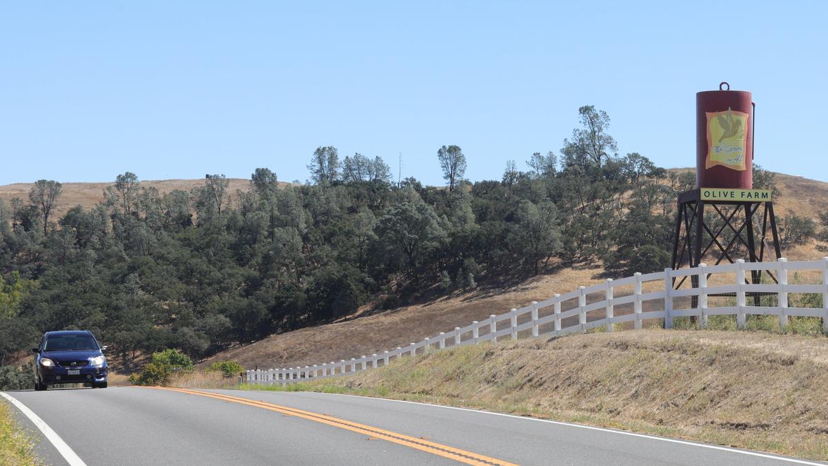The Groves on 41 olive farm sign can be seen by drivers traveling down Highway 41 near Templeton. San Luis Obispo County staff want the owners to move the sign back from the road, go through a lengthy permitting process or remove it.