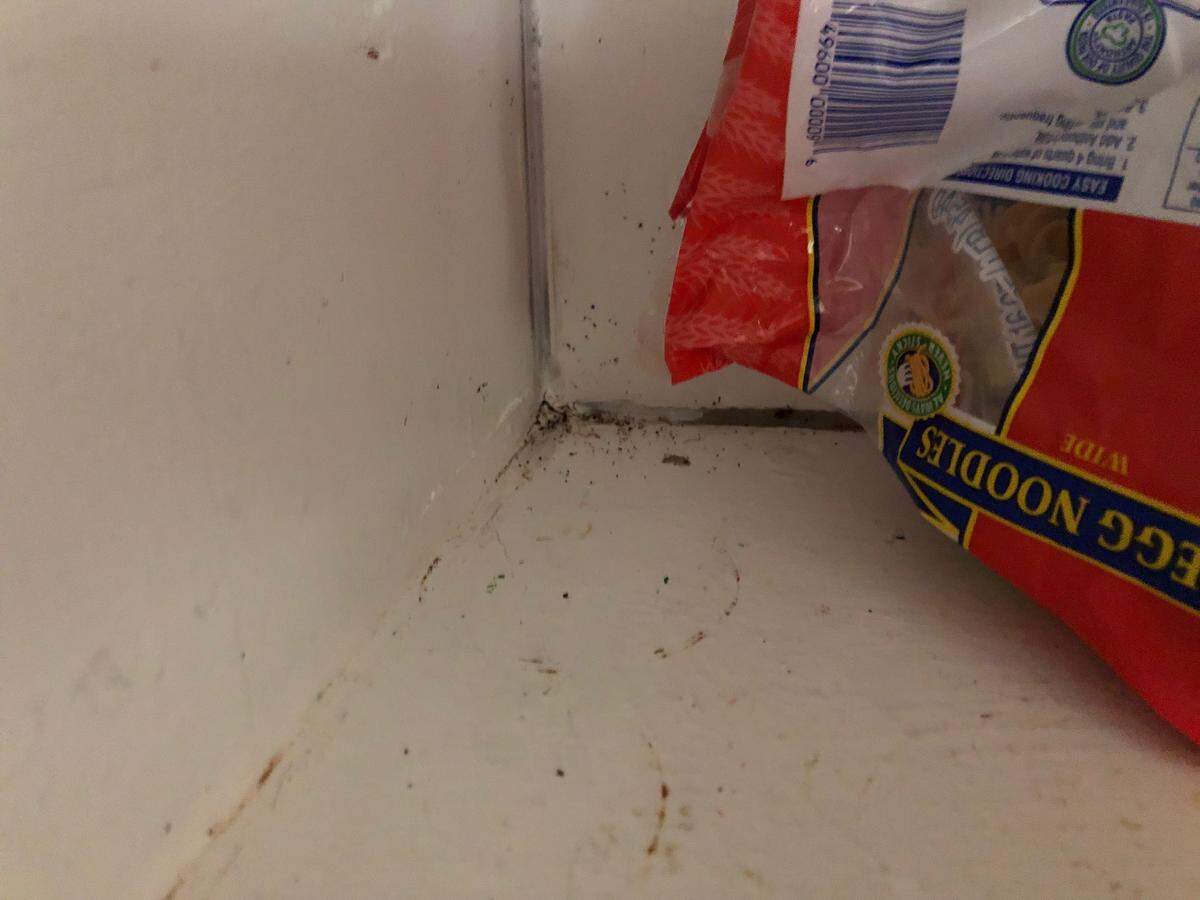 Cockroach droppings in a Grand View tenant’s kitchen cabinet.