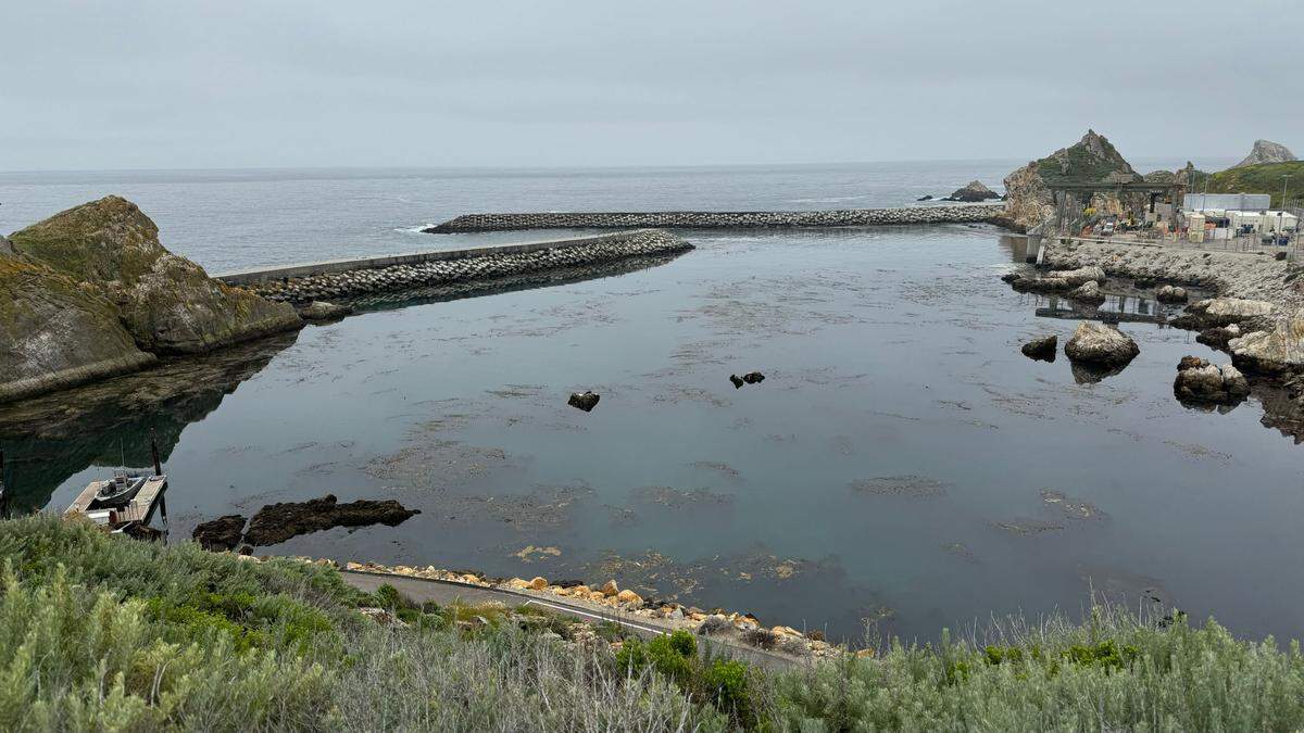 Massive breakwater structures protect the intake cove at Diablo Canyon nuclear power plant. 