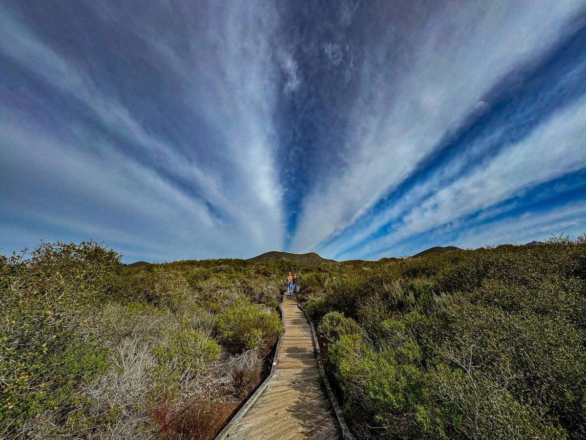 Lower-altitude clouds hover over the boardwalk at the Elfin Forest in Los Osos.