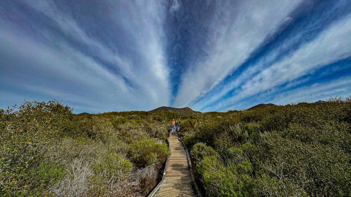 Lower-altitude clouds hover over the boardwalk at the Elfin Forest in Los Osos.
