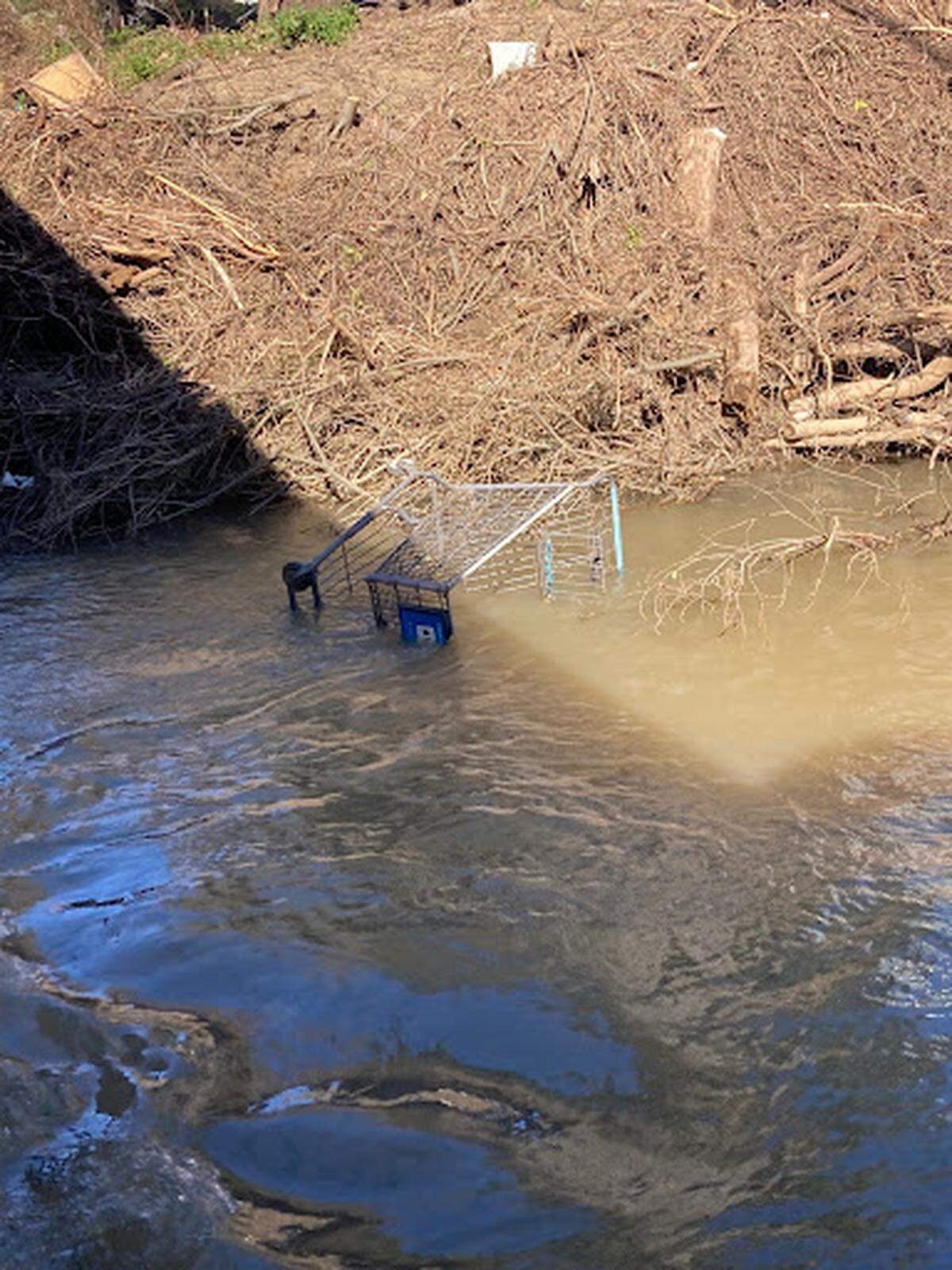 An abandoned shopping cart in Morro Creek.
