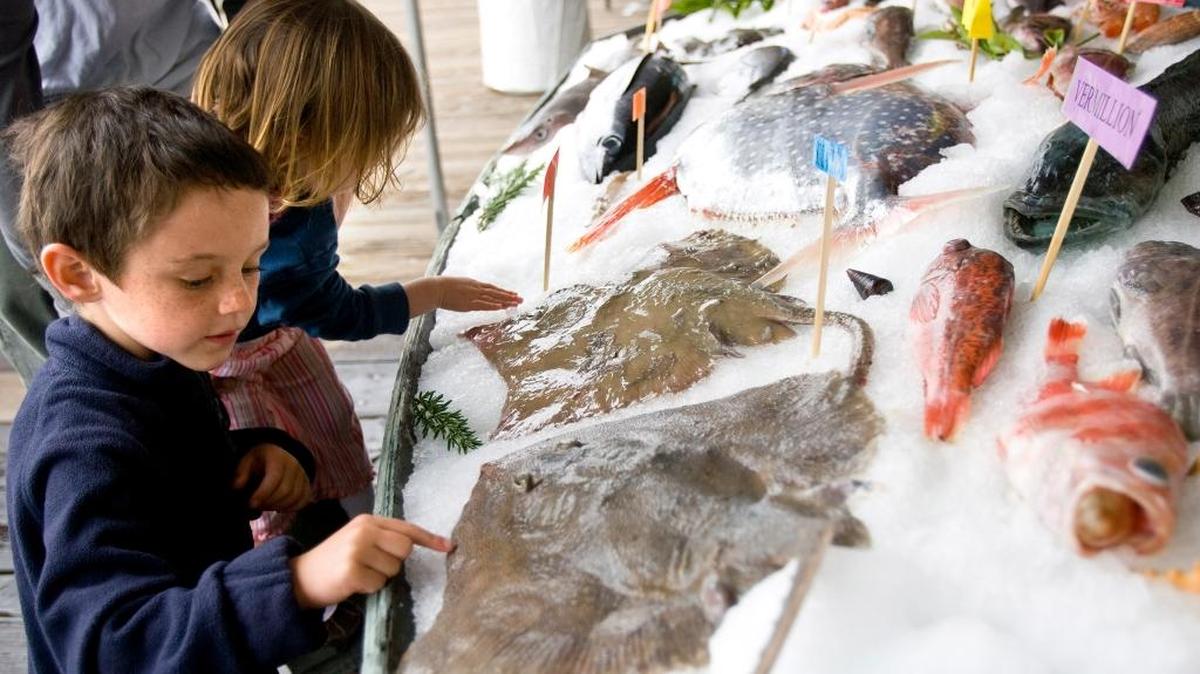 Otis Kelly, 5, and sister Reese check out the fish display at the Morro Bay Harbor Festival in 2010.