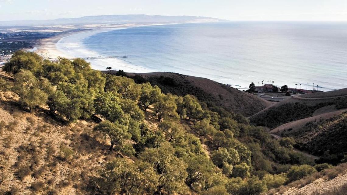 The Pismo Preserve offers 11 miles of hiking trails and breathtaking views of the coast.