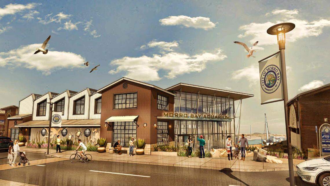 A rendering shows the concept of the proposed new Morro Bay aquarium.