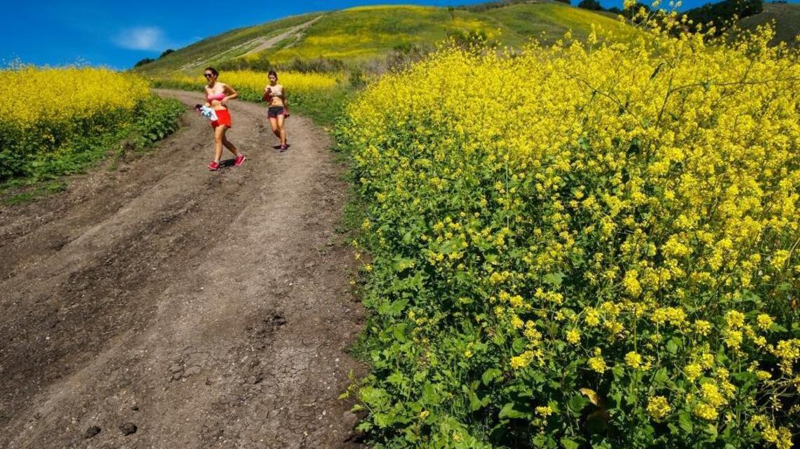 Court: Ontario Ridge Trail in Avila Beach will not be moved | San Luis ...