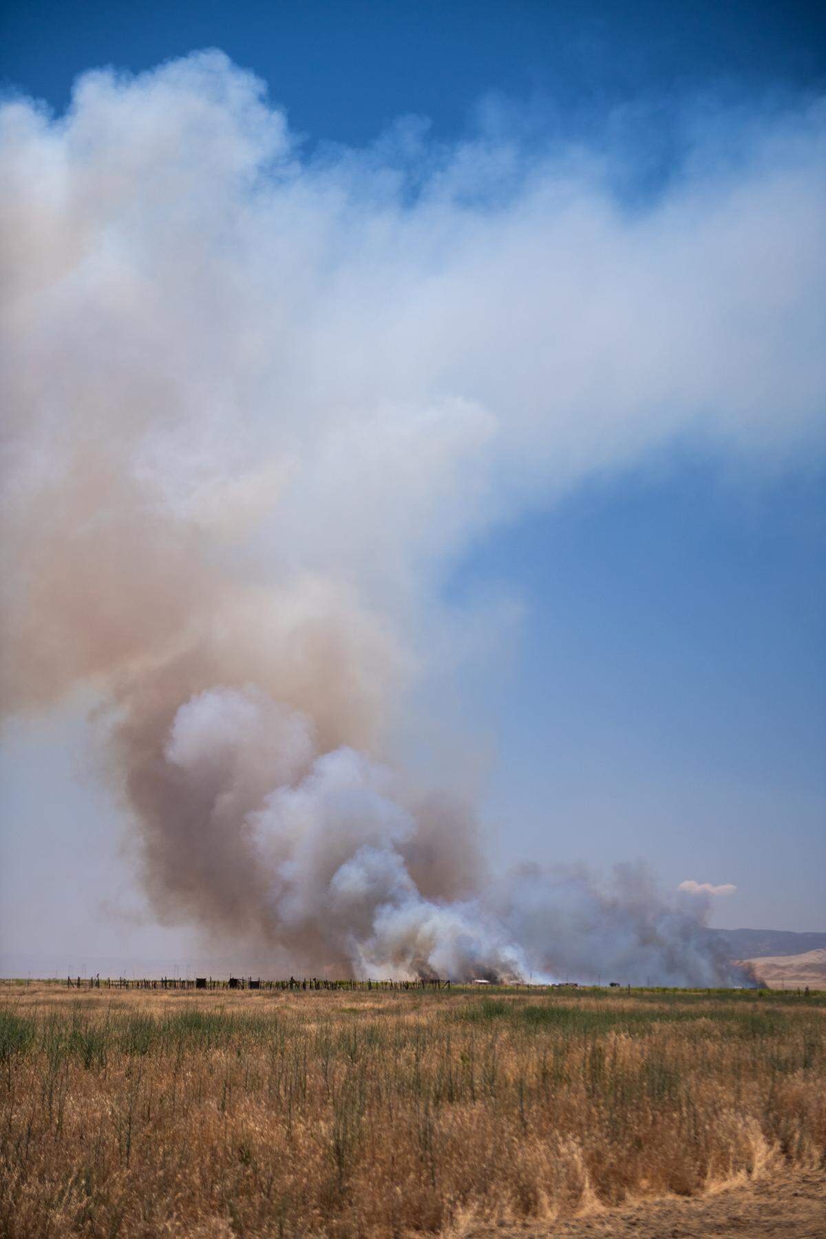 The Bear Fire burned 1,410 acres in California Valley on June 12, 2024.