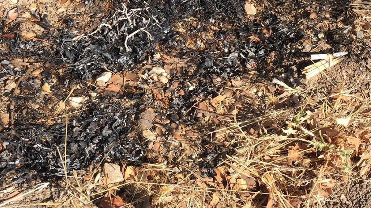 A Paso Robles woman discovered this homemade incendiary device while driving on Peachy Canyon Road on Saturday.