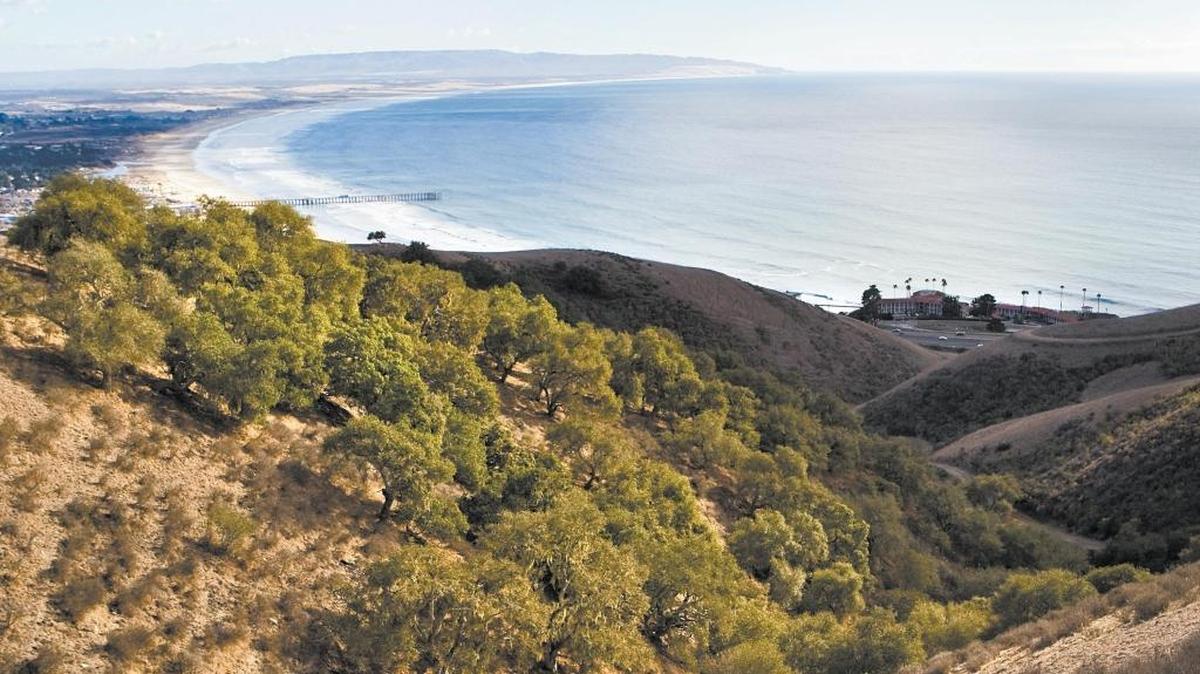A view from the top of the 900-acre Pismo Preserve.