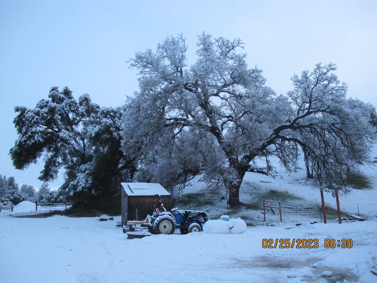 Three inches of snow fell near the corner of Parkhill and River Road in the Pozo area near Santa Margarita Lake and Black Mountain.