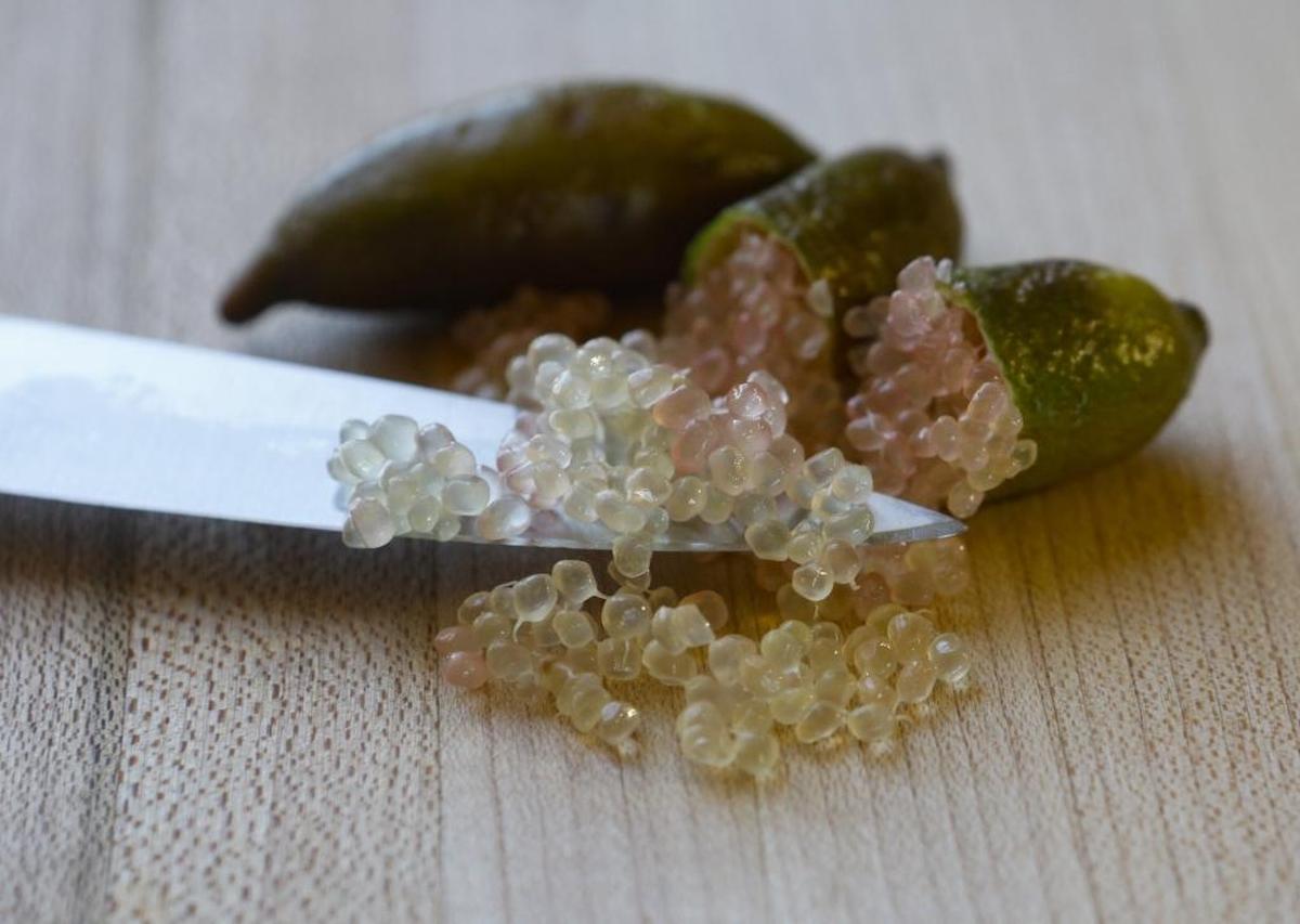 Jim Shanley calls finger limes “the coolest thing I’ve ever seen.” The fruit’s citrus-flavored interior looks like beads of clear caviar.