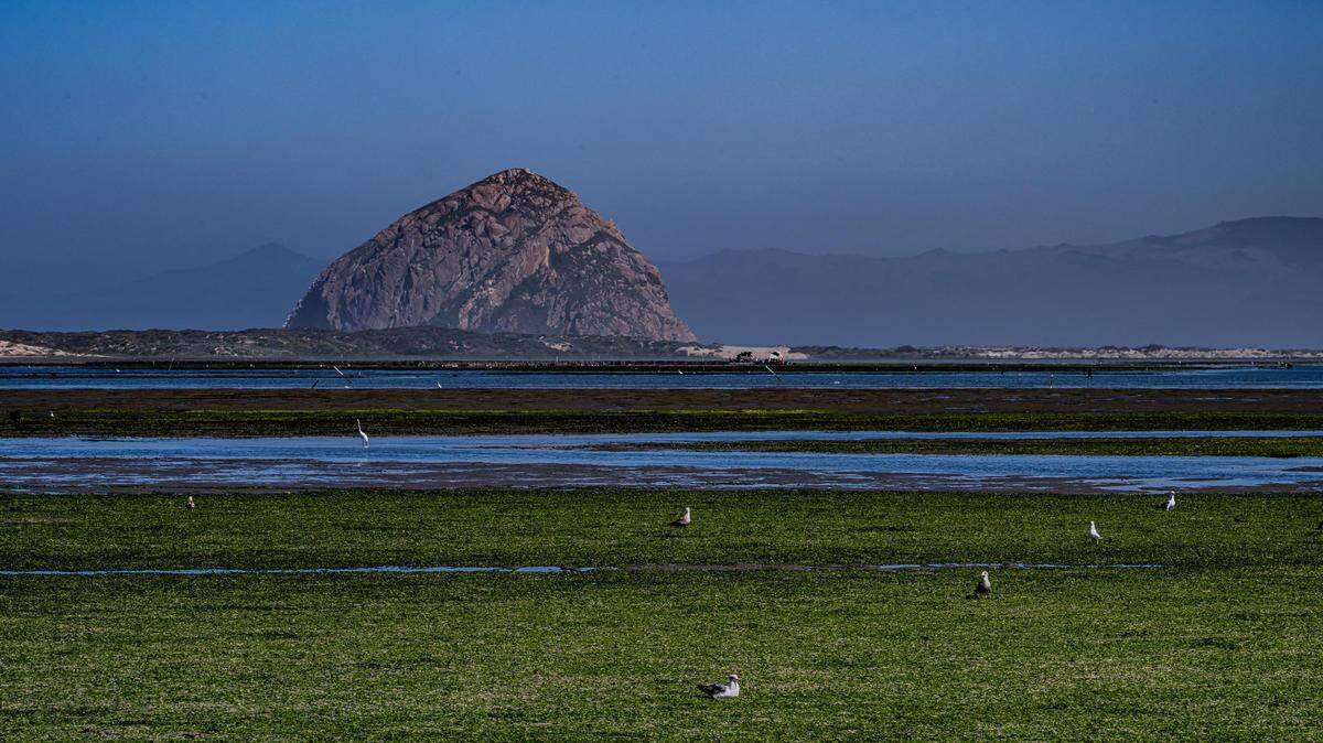 A view of Morro Rock from Baywood Park at low tide.